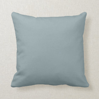 Duck egg blue decorator colour cushion