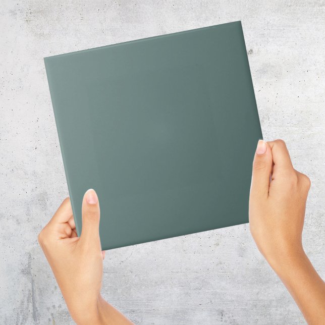 Duck Egg Blue Grey Solid Colour Tile (Duck Egg Blue Grey Solid Colour Tile
)