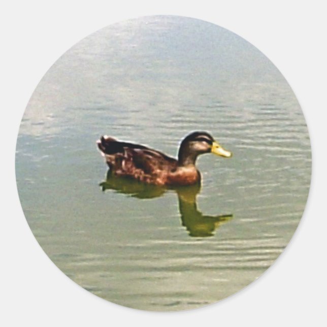 Duck Envelope Seal Sticker (Front)