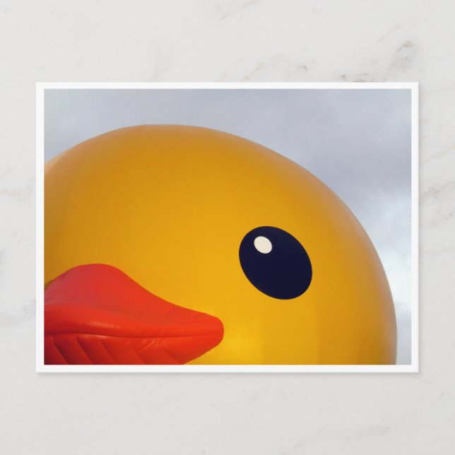 duck eye lip postcard (Front)