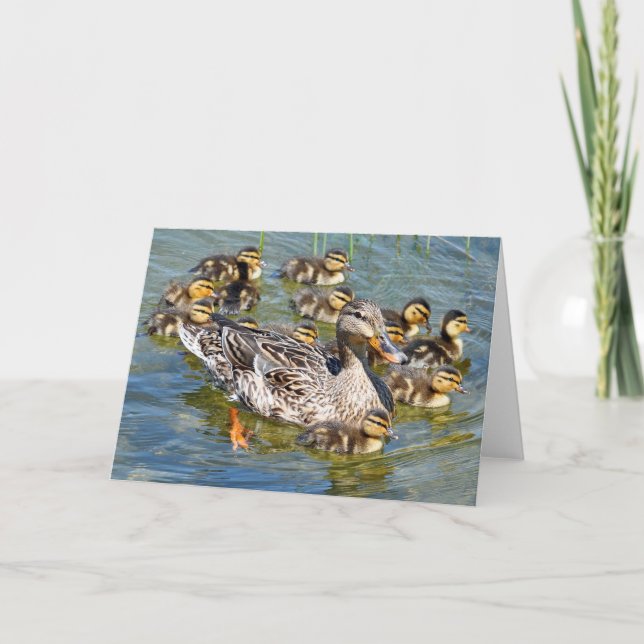 Duck Family Greeting Card (Front)
