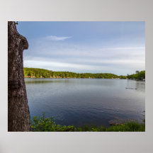 Duck family journey begins