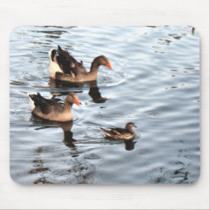 Duck Family Mouse Mat