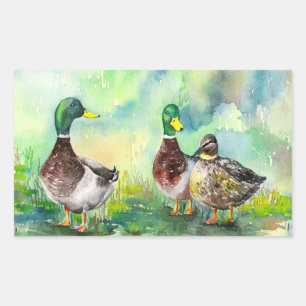 Duck Family Rectangular Sticker