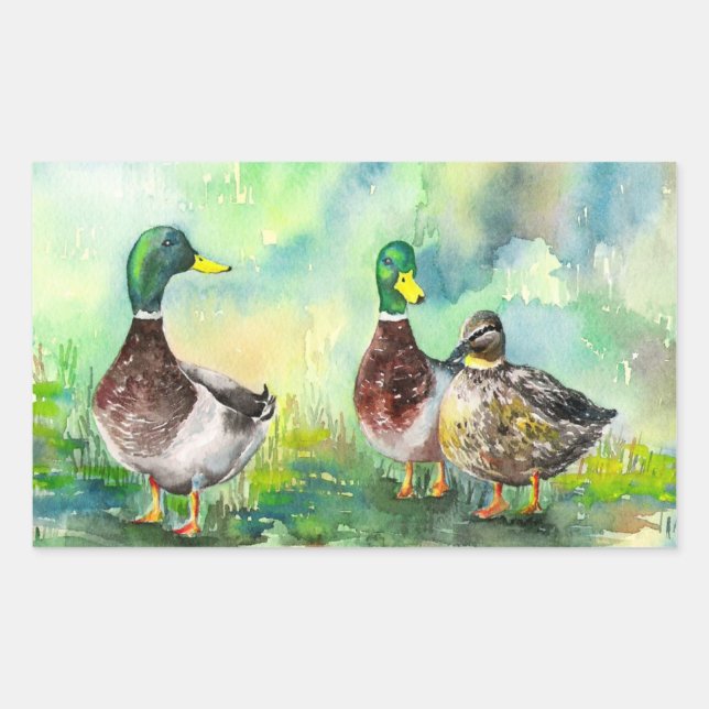 Duck Family Rectangular Sticker (Front)