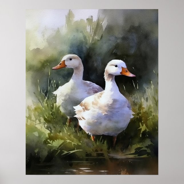 Duck Farm Animal Art Print Poster (Front)