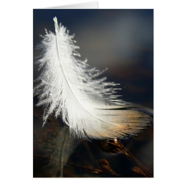 Duck Feather (Front)