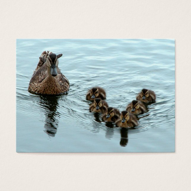 Duck formation (Front)