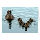 Duck Formation