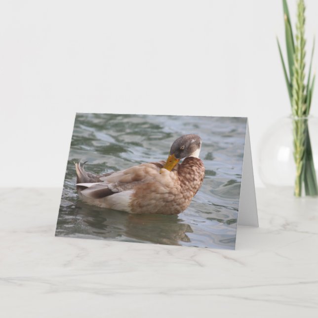 Duck Greeting Card (Front)