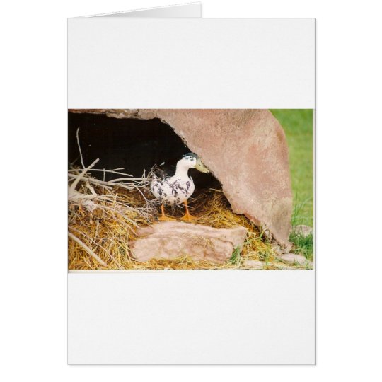 Duck Guarding Cave Card