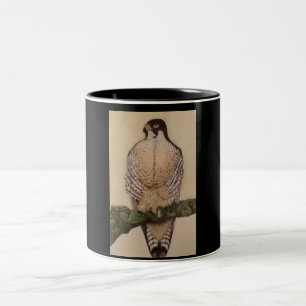 Duck Hawk Mug