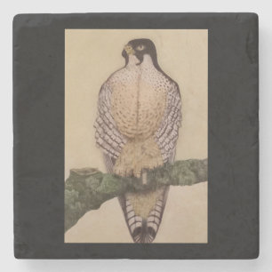 duck hawk Stone Coaster