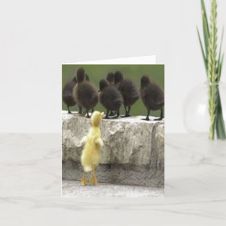 duck holiday card