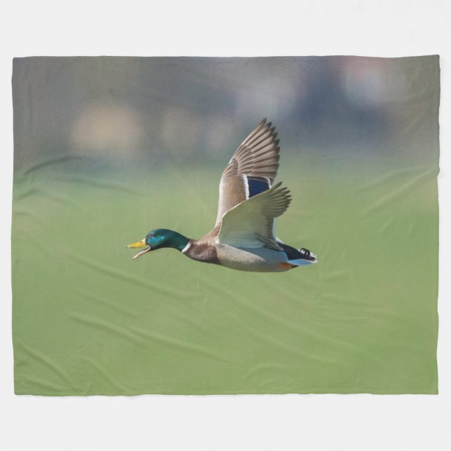 DUCK in FLIGHT Fleece Blanket (Front (Horizontal))