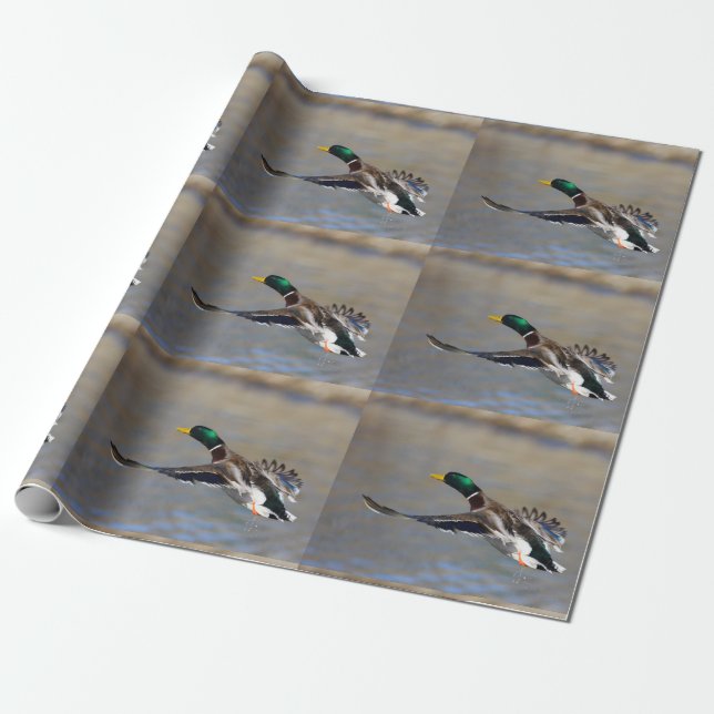 duck in flight wrapping paper (Unrolled)
