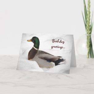 Duck in Snow Birthday Card