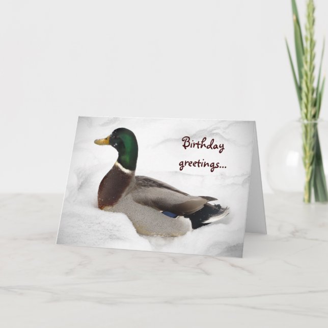 Duck in Snow Birthday Card (Front)