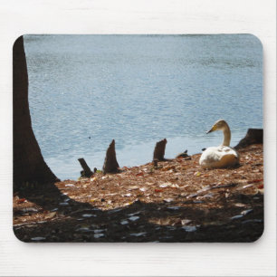 Duck in the Sun Mouse Mat