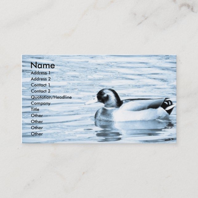 Duck in Water Business Card (Front)