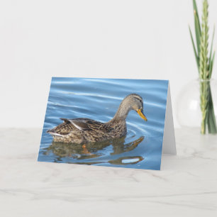 Duck in Water Card