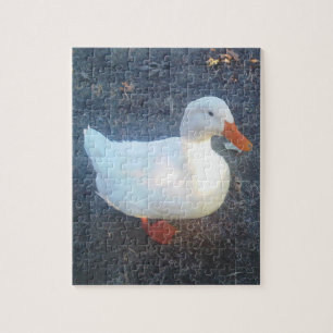 Duck Jigsaw Puzzle