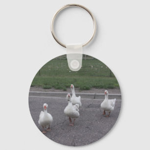 Duck Key Chain