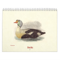 Duck Lithographs - from Birds of New York -