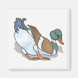 Duck Magnet