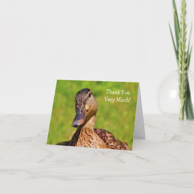 Duck Mallard Nature Thank You Card (Front)