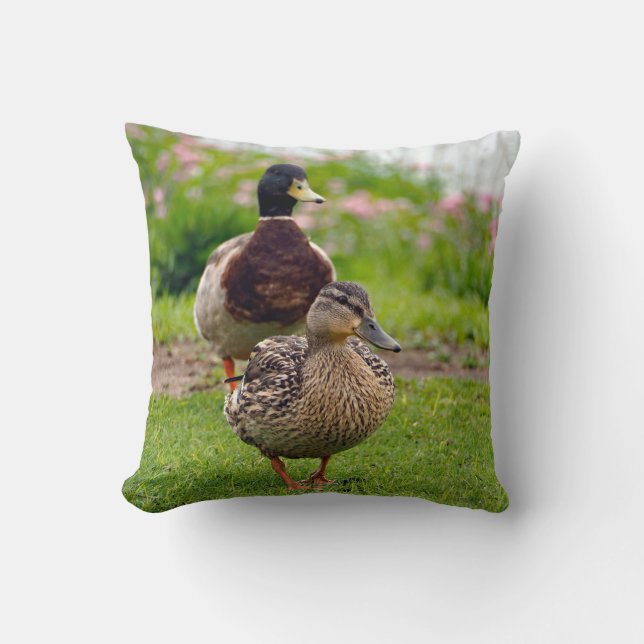 Duck Mallard Pair Cushion (Front)