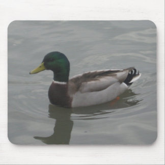 Duck Mouse Mat