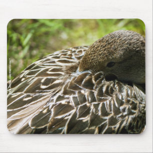 Duck Mouse Mat