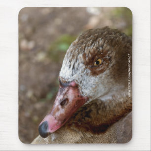 Duck Mouse Mat