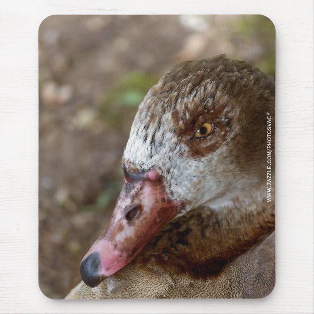 Duck Mouse Mat (Front)