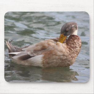 Duck mousepad