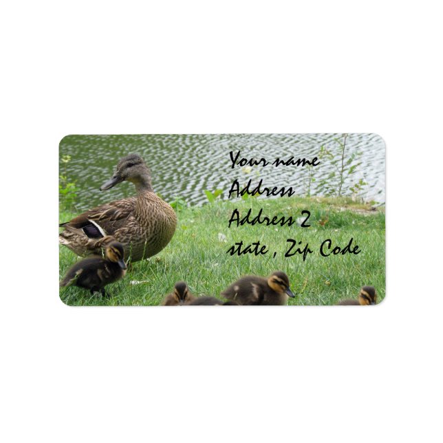 Duck mum and ducklings label (Front)
