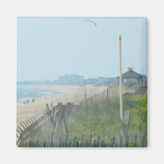 Duck North Carolina Coastline Magnet