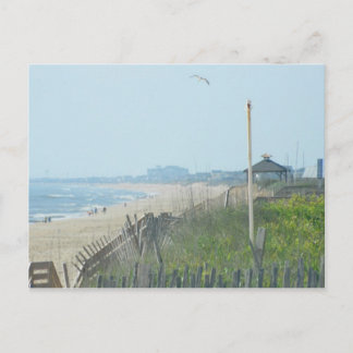 Duck North Carolina Coastline Postcard