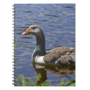 Duck Notebook