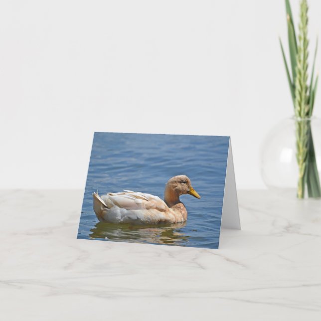 Duck Notecard (Front)