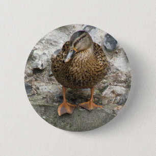Duck on a Wall Button
