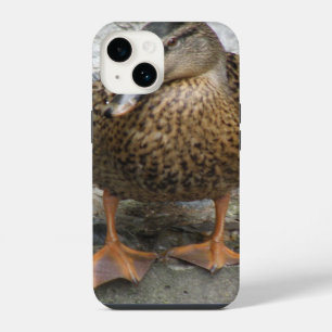 Duck on a Wall iPhone 14 Case
