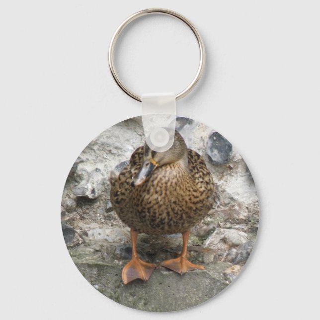 Duck on a Wall Keychain (Front)