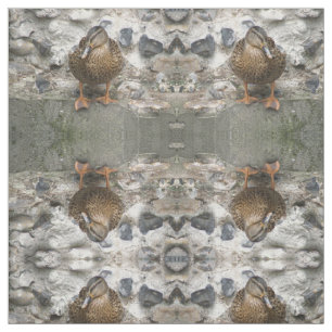 Duck on a Wall Patterned Animal Fabric