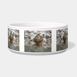Duck on a Wall Pet Bowl