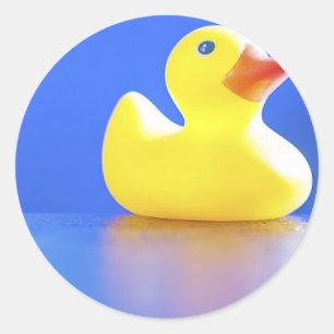 Duck on Blue Classic Round Sticker