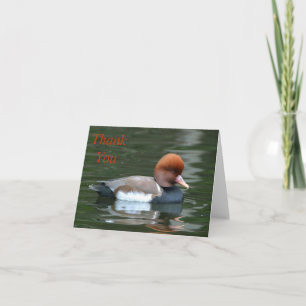 duck on river thank you note card