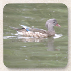 Duck on the Lake Cork Coaster