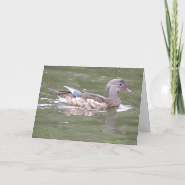 Duck on the Lake Greeting Card (Front)